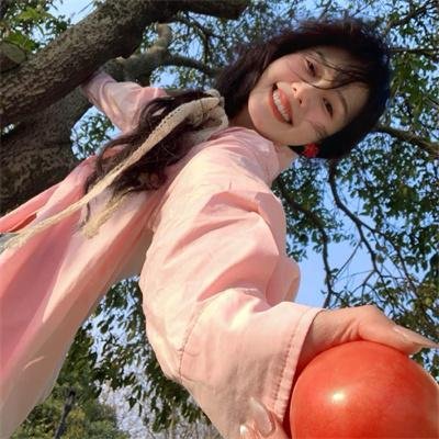弗兰肯斯坦计划